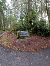 Load image into Gallery viewer, a wooden bench sitting in the middle of a park